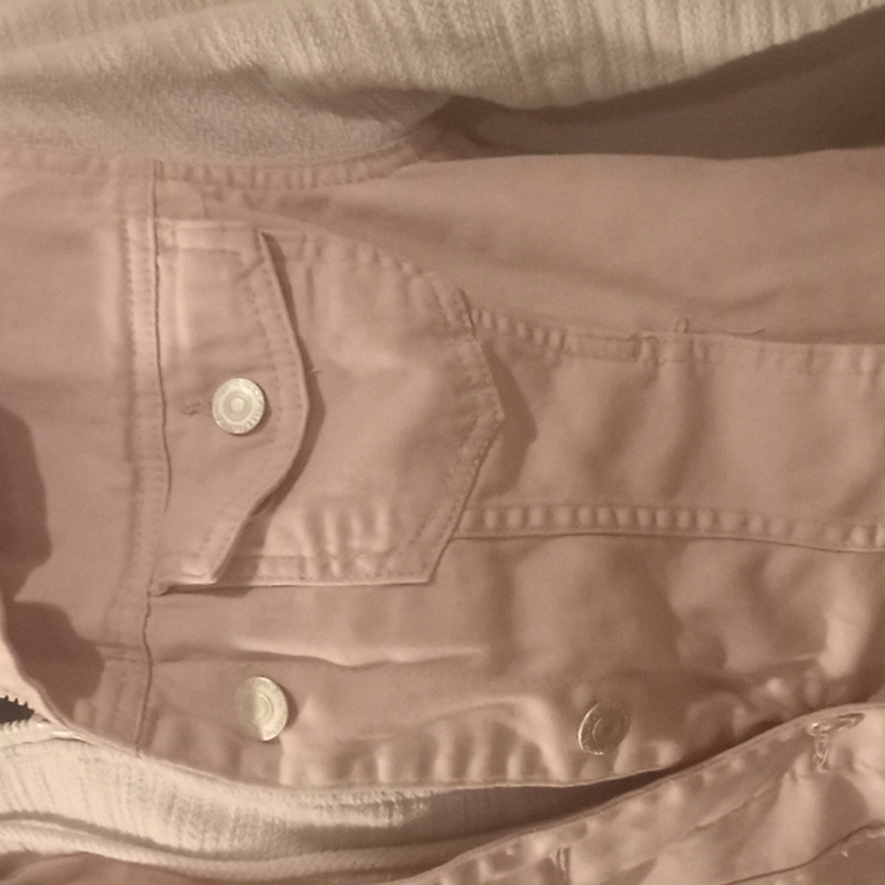 Wallflower Authentic Denium Jacket - image 3